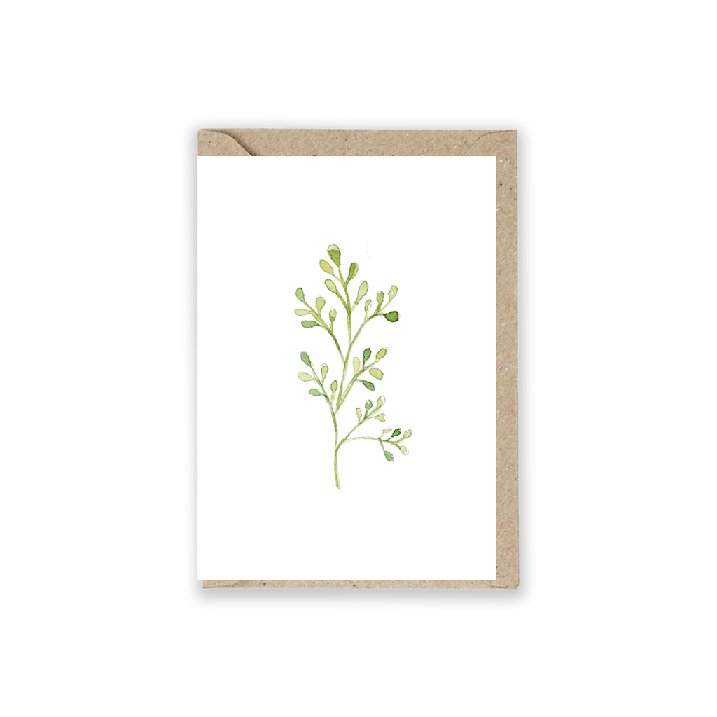 Grusskarte Grüne Zweig 5 Stück