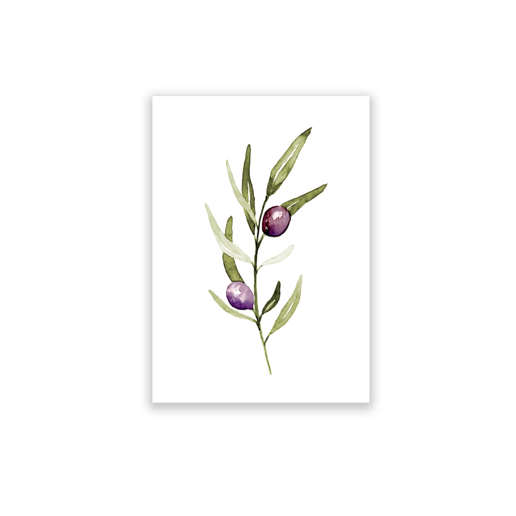 Postkarte Olive 10 Stück